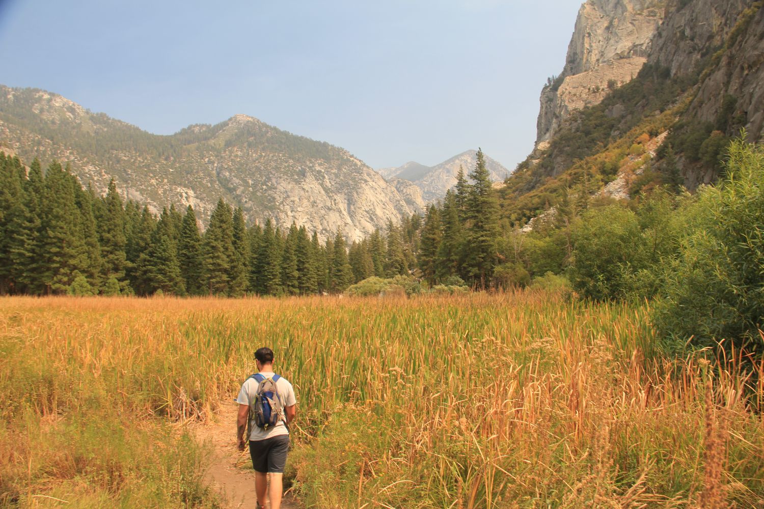 Zumwalt Meadows Trail 